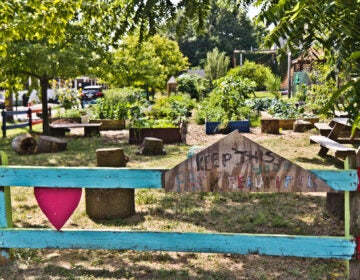 The garden at the North Philly Peace Park. (Kimberly Paynter/WHYY)