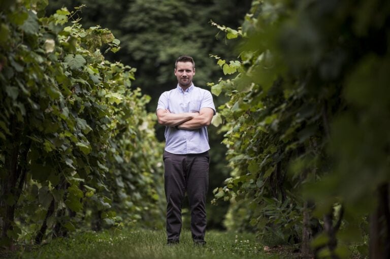 Jonas Nissley of Nissley Vineyards. July 16, 2020 (Sean Simmers / PennLive)