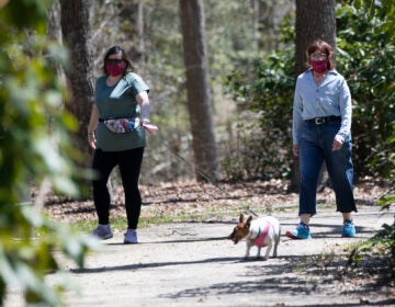 People wearing a protective face coverings hike at Shark River Park in Wall Township, N.J., Saturday, May 2, 2020. (AP Photo/Matt Rourke)