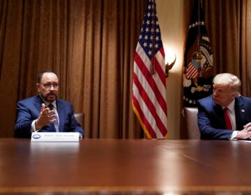 President Donald Trump listens as Robert Unanue, of Goya Foods, speaks during a roundtable meeting with Hispanic leaders in the Cabinet Room, Thursday, July 9, 2020, in Washington. (AP Photo/Evan Vucci)