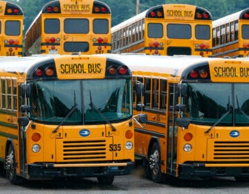 Rows of school buses