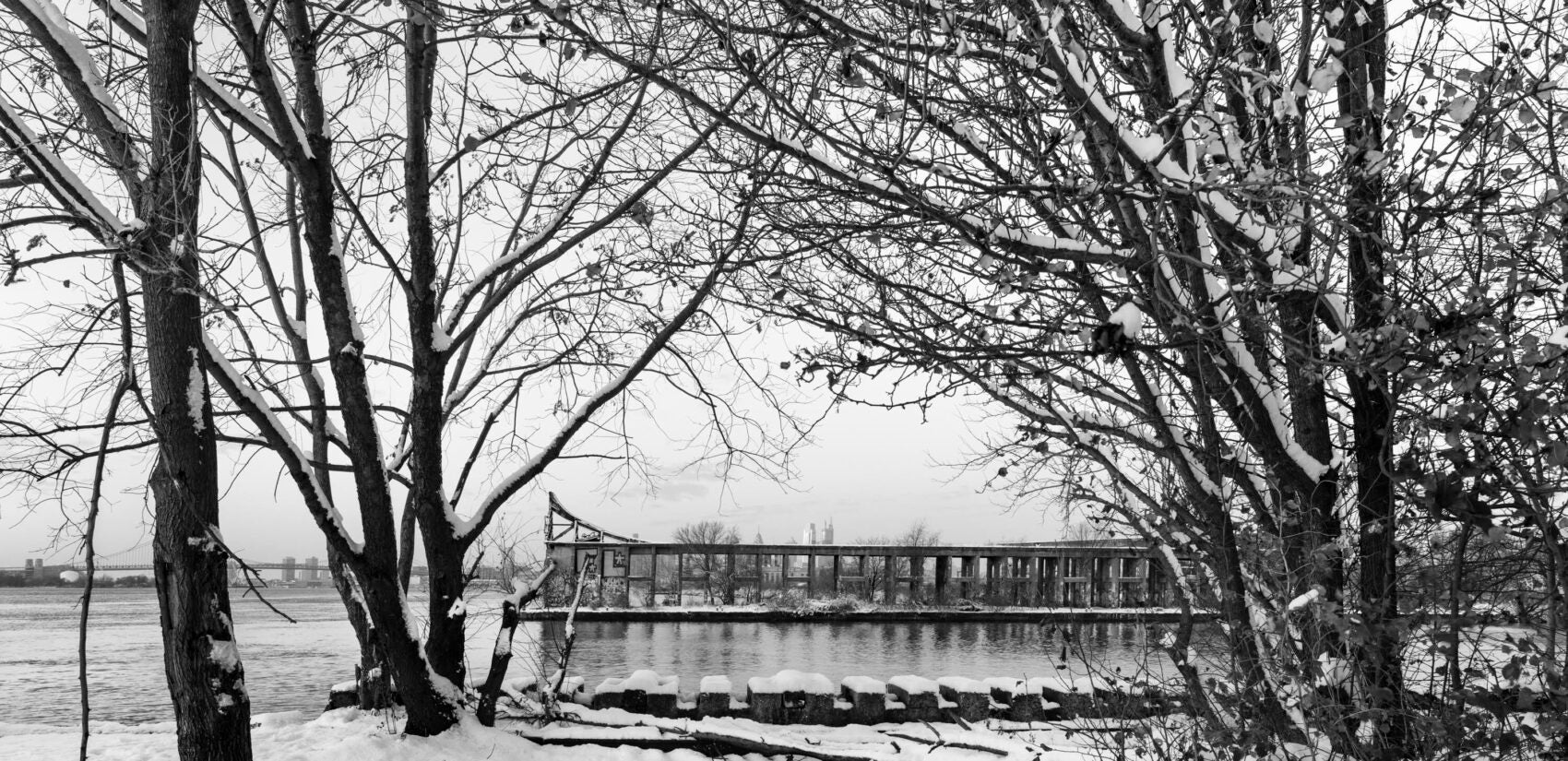 Graffiti Pier in the clearing