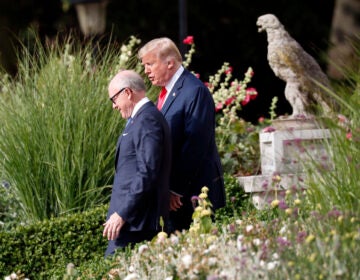 President Trump walks with U.S. Ambassador Robert Wood “Woody” Johnson IV in London in July 2018. President Trump walks with U.S. Ambassador Robert Wood