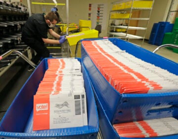 Vote-by-mail ballots are shown in sorting trays