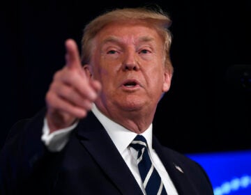 President Donald Trump speaks at Trump National Golf Club Bedminster in Bedminster, N.J., Friday, Aug. 7, 2020. (AP Photo/Susan Walsh)