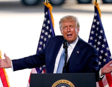 President Donald Trump speaks to a crowd of supporters at the Yuma International Airport Tuesday, Aug. 18, 2020, in Yuma, Ariz. (AP Photo/Matt York)