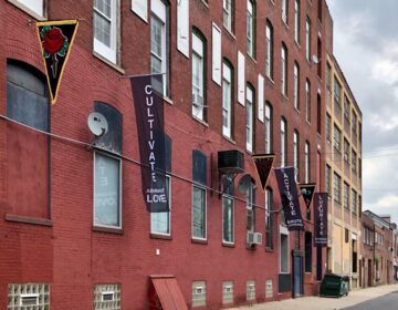 Flags that celebrate 100 year anniversary of Marcus Garvey's Pan-African flag created by artist Heather Raquel Phillips hanging outside the Practice Gallery at 319 11th St. in Philadelphia