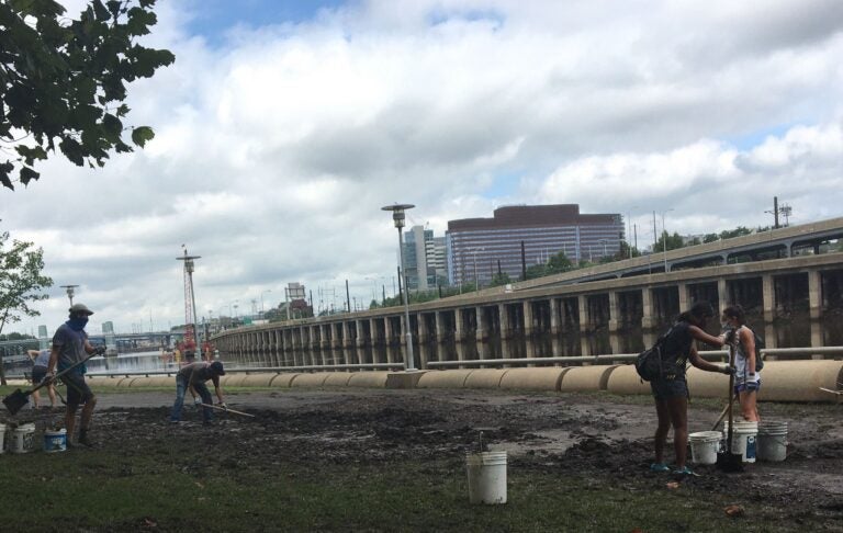 Volunteers helped clean up a mess of debris and mud left on the Schuylkill Bank post-Tropical Storm Isaias. (Katie Meyer/WHYY)