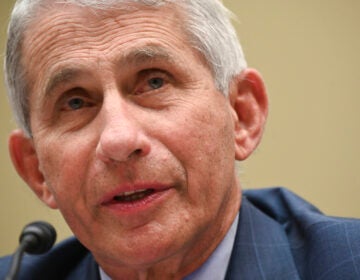 Dr. Anthony Fauci, director of the National Institute for Allergy and Infectious Diseases, testifies before a House Select Subcommittee hearing on the Coronavirus, Friday, July 31, 2020 on Capitol Hill in Washington.  (Erin Scott/Pool via AP)