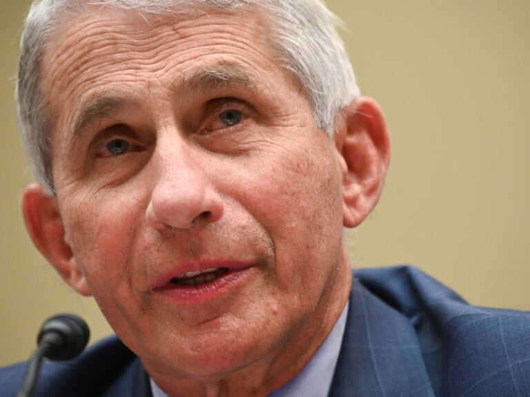 Dr. Anthony Fauci, director of the National Institute for Allergy and Infectious Diseases, testifies before a House Select Subcommittee hearing on the Coronavirus, Friday, July 31, 2020 on Capitol Hill in Washington.  (Erin Scott/Pool via AP)