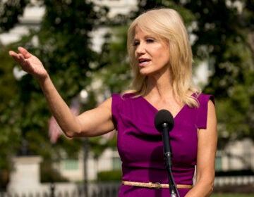 Counselor to the President Kellyanne Conway speaks to reporters outside the West Wing of the White House in Washington, D.C., earlier this month.