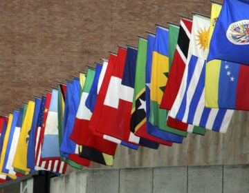 The flags of the Organization of American States (OAS)