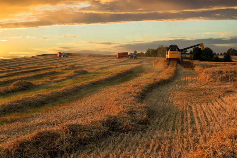 Farmers work during a harvest in Jutland, Denmark. People keep worrying about food shortages. Some economists say the fears actually create their own problems. (Nick Brundle Photography/Getty Images)