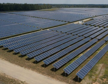Solar-powered farm