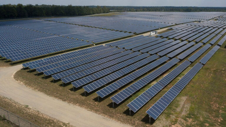 Solar-powered farm