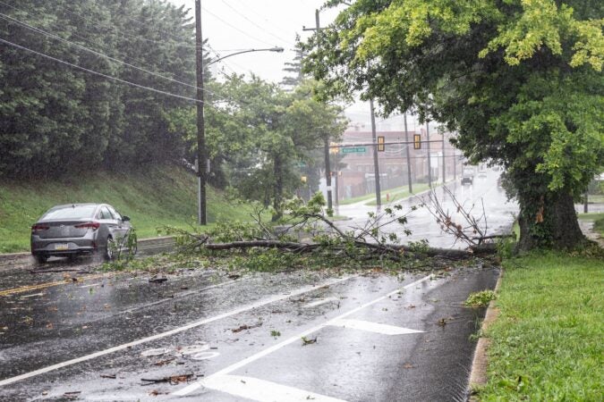 Tropical Storm Isaias in Philly