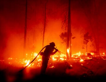 FILE - In this Sept. 7, 2020, file photo, a firefighter battles the Creek Fire as it threatens homes in the Cascadel Woods neighborhood of Madera County, Calif. (AP Photo/Noah Berger,File)