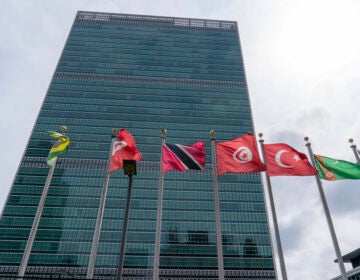 Member state flags fly outside the United Nations headquarters, Friday, Sept. 18, 2020, in New York. Security measures have been downscaled outside the United Nations ahead of this year’s General Assembly. As the COVID-19 pandemic continues to wreak havoc across the globe, the annual meeting of member states has been scaled back, with the majority of delegates addressing the assembly from remote locations. (AP Photo/Mary Altaffer)