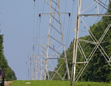 Electric power grid transmission lines