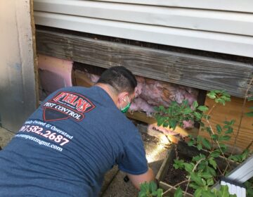 Charles Evans looking for cracks in a Kensington home. Mice can fit in a hole the size of a dime, rats in a hole the size of a quarter. (Catalina Jaramillo/WHYY)