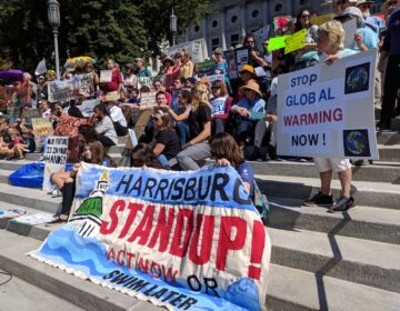 Demonstrators gather on the steps of the state capitol in Harrisburg to demand action on climate change on Friday, September 20, 2019. (Rachel McDevitt / WITF)