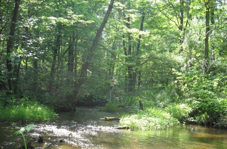 Upper Tohickon Creek in Bucks County