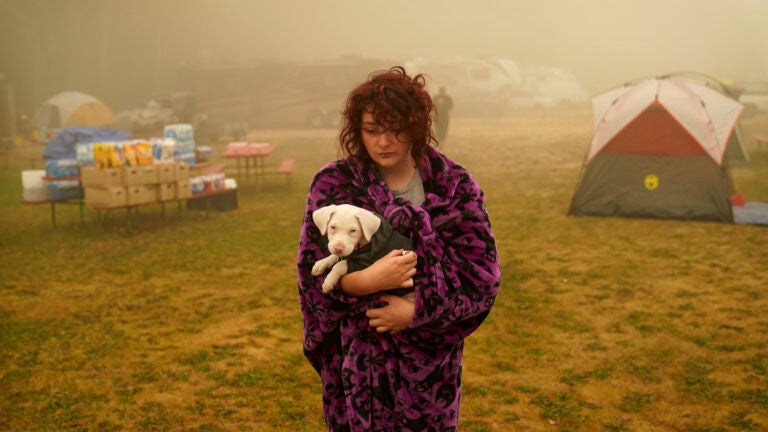 Shayanne Summers holds her dog Toph Shayanne Summers holds her dog Toph