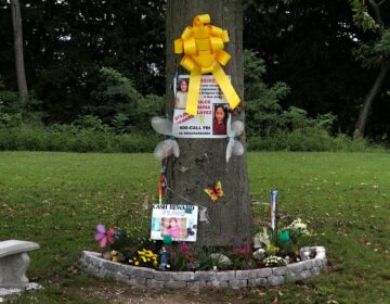 A tree in Bridgeton City Park dedicated to Dulce Maria Alavez