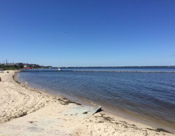 A 2015 image of the 5th Avenue bay beach in Seaside Park. (Justin Auciello/for WHYY)