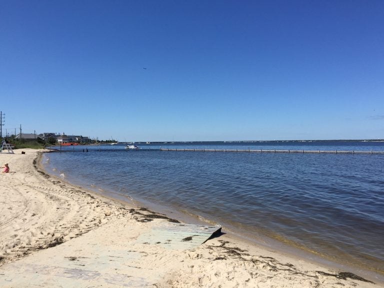 A 2015 image of the 5th Avenue bay beach in Seaside Park. (Justin Auciello/for WHYY)