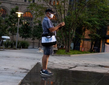 A Census Bureau worker wearing a face covering stands in a park in New York City in August. The bureau confirmed on Tuesday that door knocking is ending in some areas earlier than Sept. 30. (Alexi Rosenfeld/Getty Images)