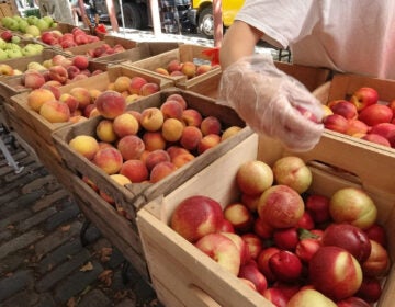 Apples at a farmers market