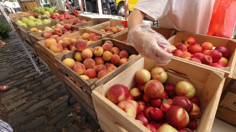 Apples at a farmers market