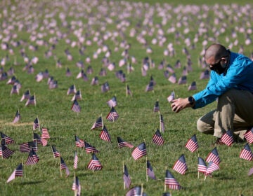 200,000 American Flags Installed On National Mall To Memorialize 200,000 COVID-19 Deaths