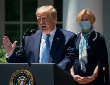 President Trump announced the creation of Operation Warp Speed in May to fast-track a coronavirus vaccine. He called it 