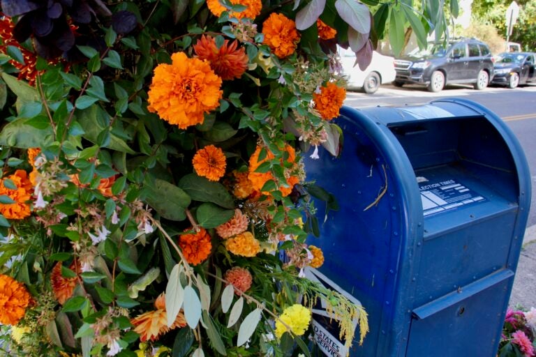 A mailbox decorated with orange flowers