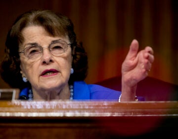 In this June 9, 2020, file photo ranking member Sen. Dianne Feinstein, D-Calif., speaks during a Senate Judiciary Committee hearing on Capitol Hill in Washington. (AP Photo/Andrew Harnik, Pool)