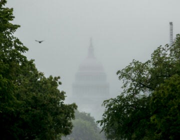 In this May 22, 2020, file photo the Dome of the U.S. Capitol Building is visible through heavy fog in Washington. (AP Photo/Andrew Harnik)