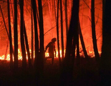 A firefighter is silhouetted against a fire burning outside the village of Roqueiro