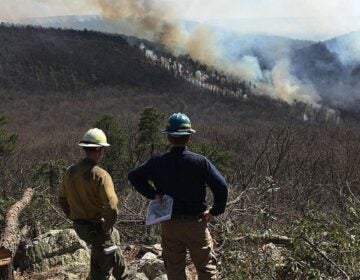 Pennsylvania prescribed wildfire burn