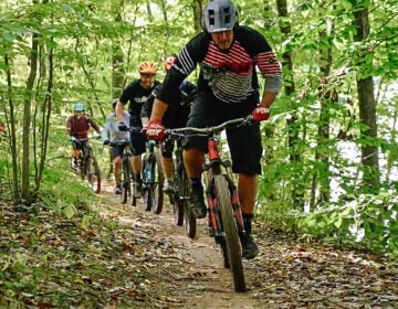 People biking on a trail in the woods