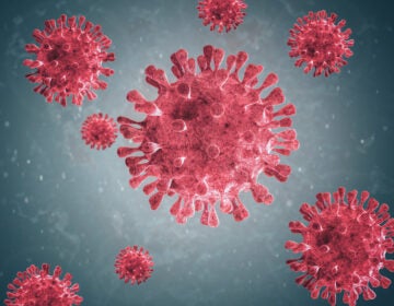 Microscopic images of the coronavirus