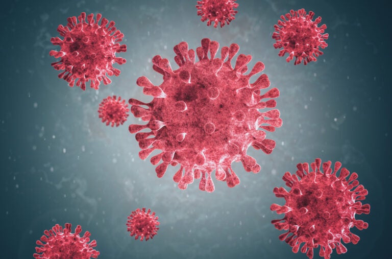 Microscopic images of the coronavirus