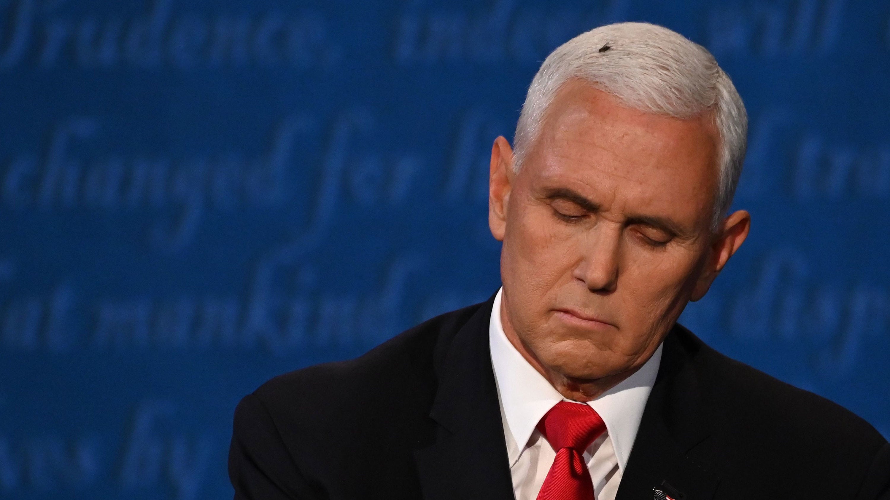 A fly lands on Vice President Mike Pence's head during the debate.
