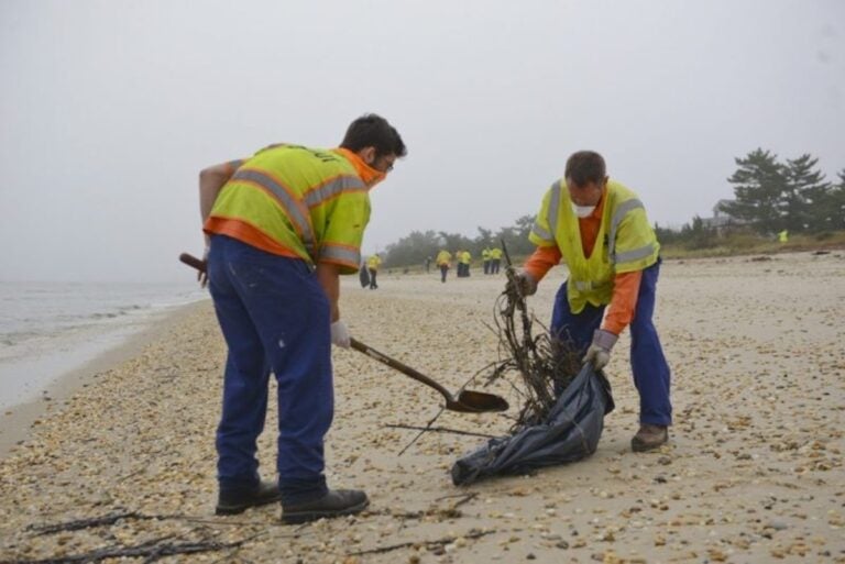 Workers help clean Delaware beach after oil spill