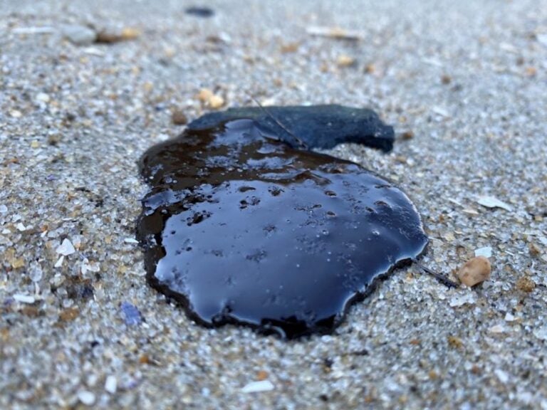 Oil spill on Delaware beach