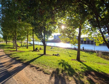 Schuylkill River trail along Kelly Drive