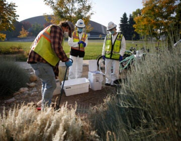 Researchers collect samples in Fort Collins