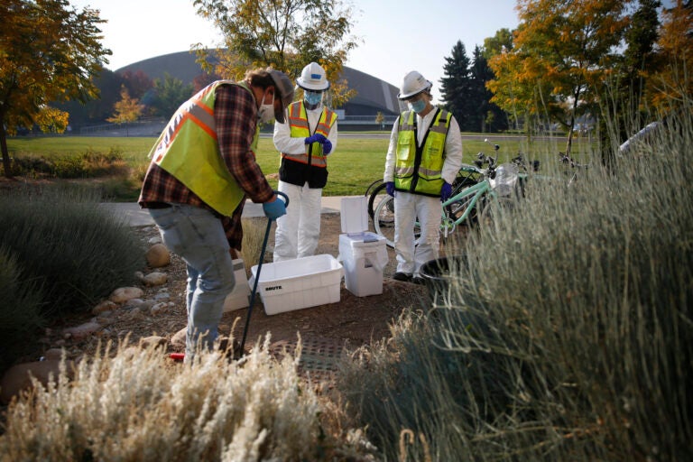 Researchers collect samples in Fort Collins