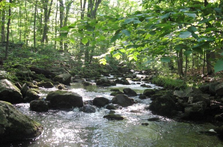 Upper Tohickon Creek in Bucks County